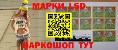 гидра Рязань